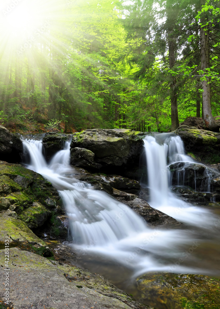 Fototapeta premium beautiful waterfalls in the Bavarian Forest-Germany