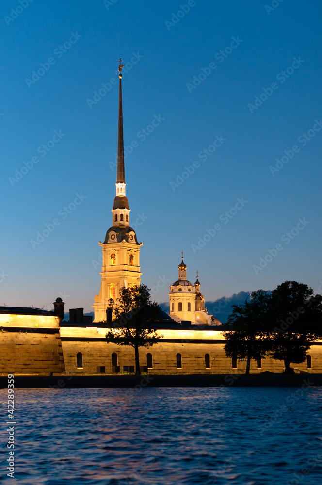 Peter and Paul fortress vertical view