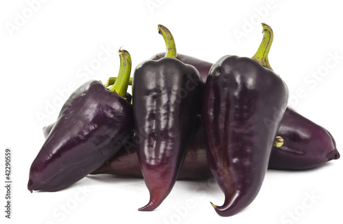 Purple peppers isolated