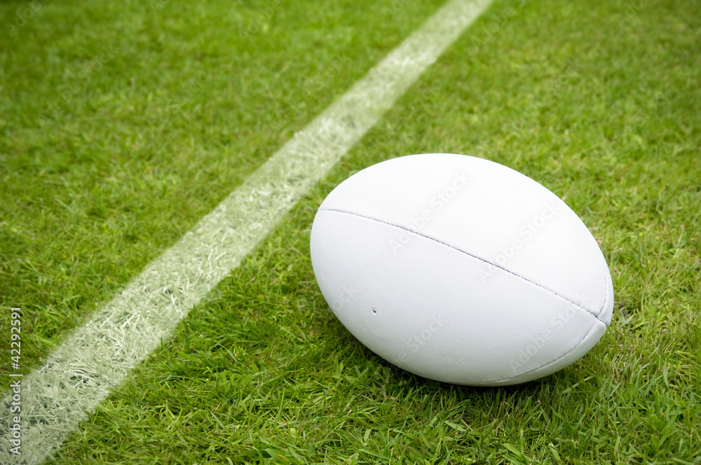 rugby ball near try line on rugby pitch Stock Photo | Adobe Stock