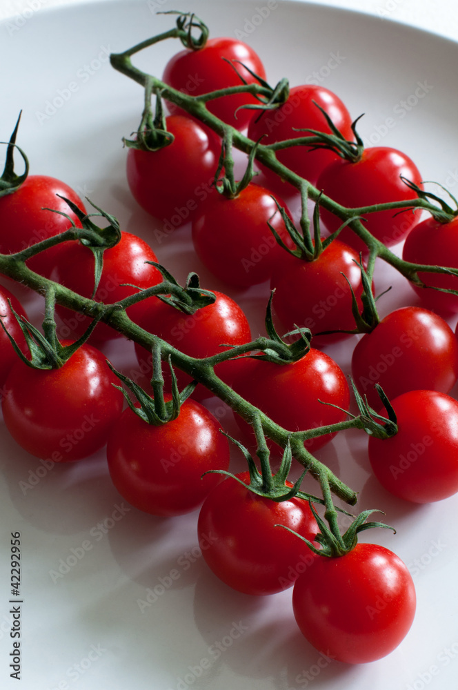 vine tomatoes vine tomatoes