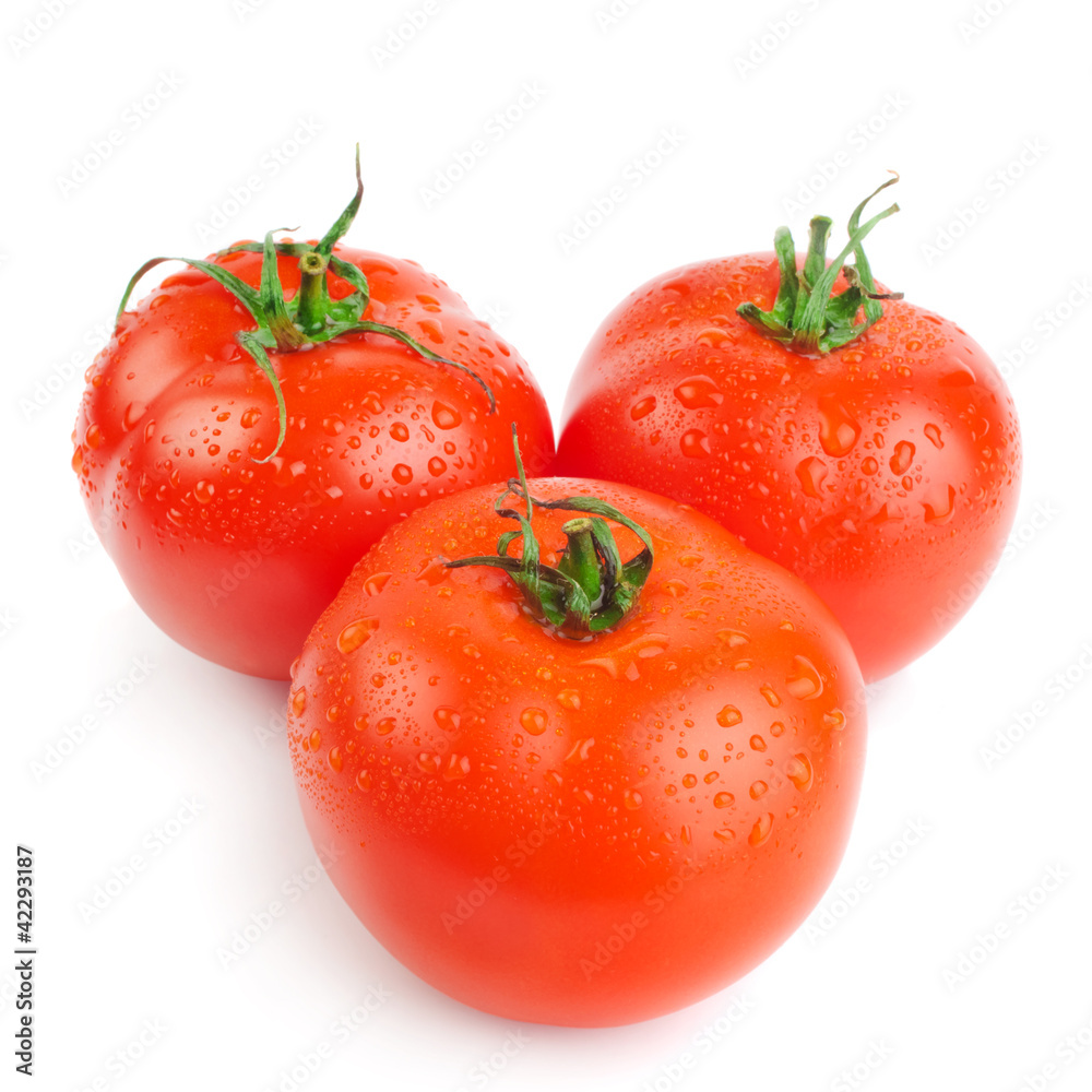 Close-up photo of tomatoes with water drops Close-up photo of tomatoes with water drops