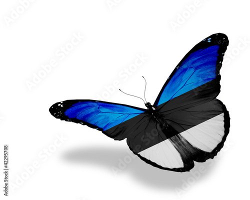 Estonian flag butterfly flying  isolated on white background