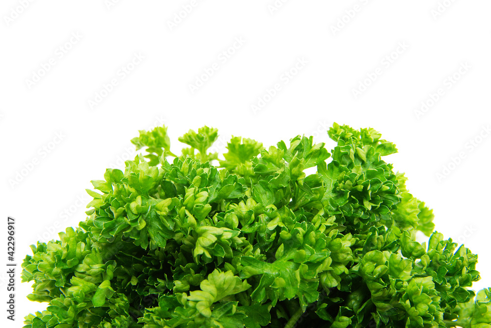parsley parsley