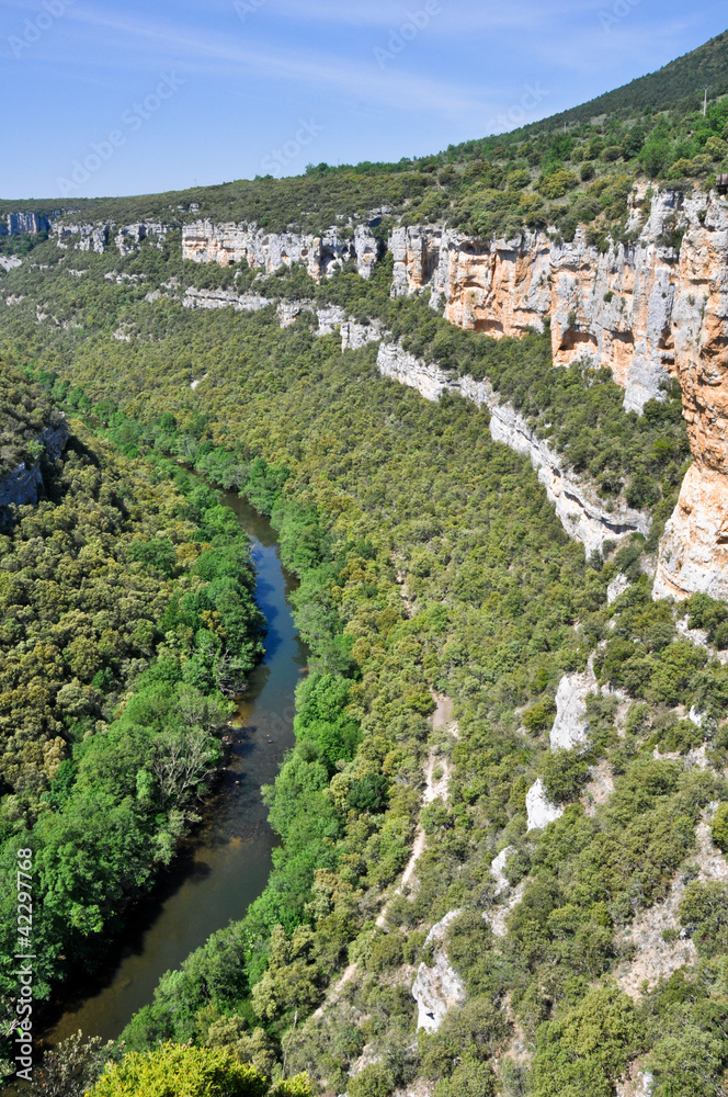 Ebro river canyon , Burgos (Spain)