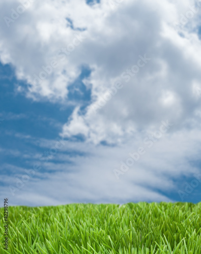 Blue Sky and Green Grass