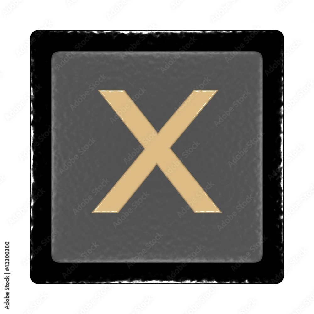 Fototapeta premium X 1.13