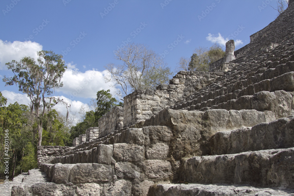 mayan ruins at calakmul, mexico