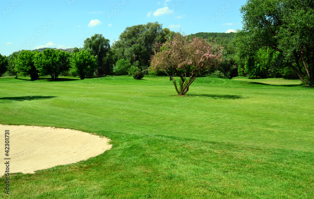 Green golf course, flowering tree and sand pit