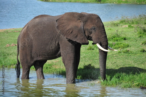 queen Elizabeth National Park  Uganda