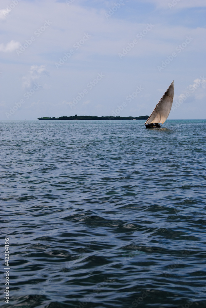 Fototapeta premium African Sailboat