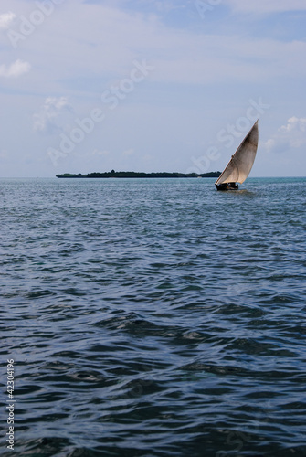 African Sailboat