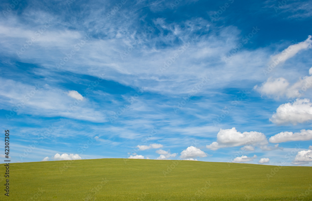 green field and blue cloudy sky background