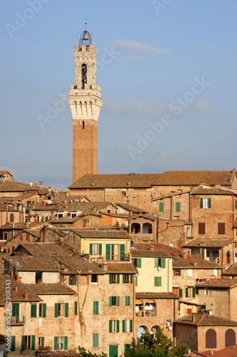 Siena in the sunset light