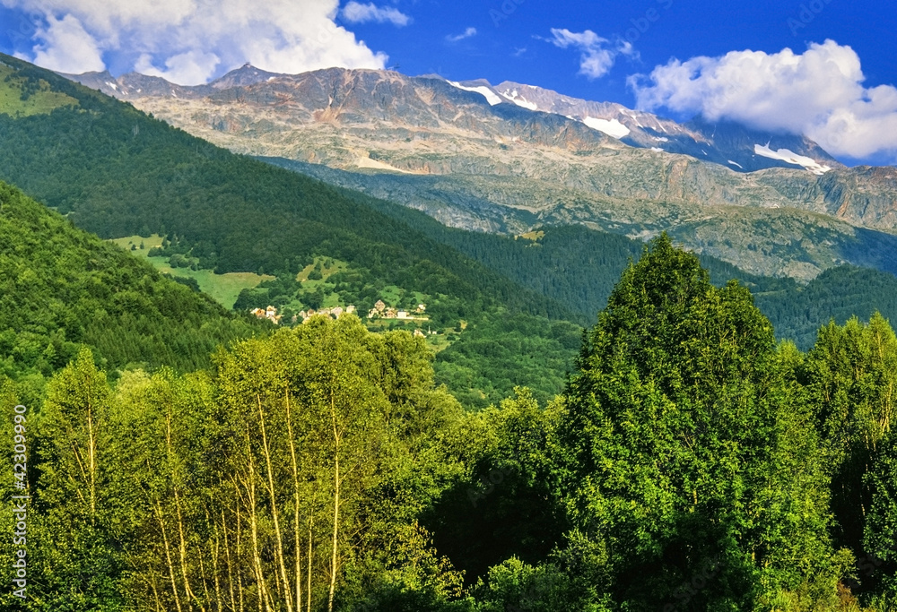 Fototapeta premium alps