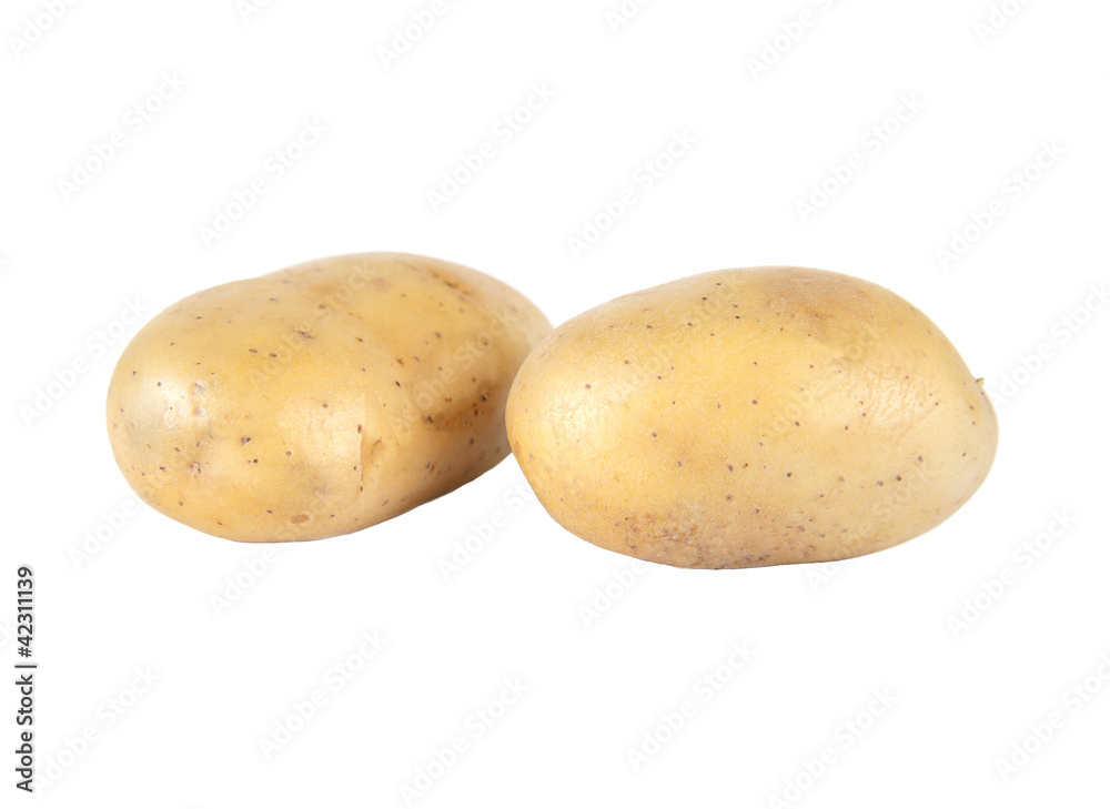 Fresh Potato isolated on white background Fresh Potato isolated on white background