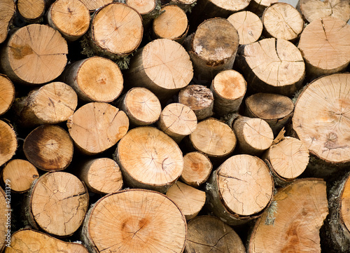 Stacked firewoods. Natural Background
