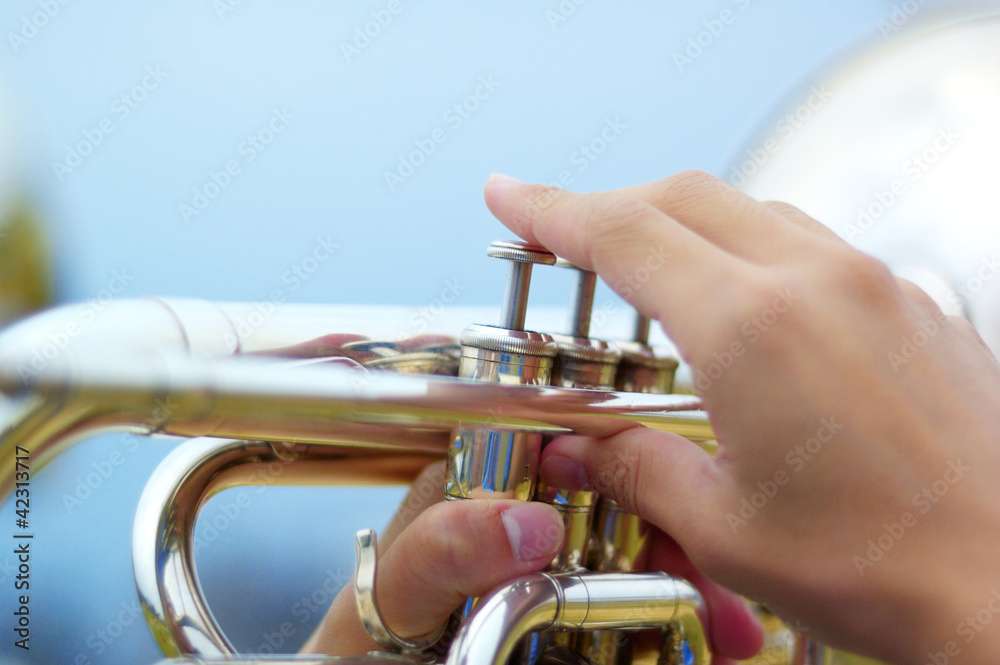 Obraz premium Trumpet