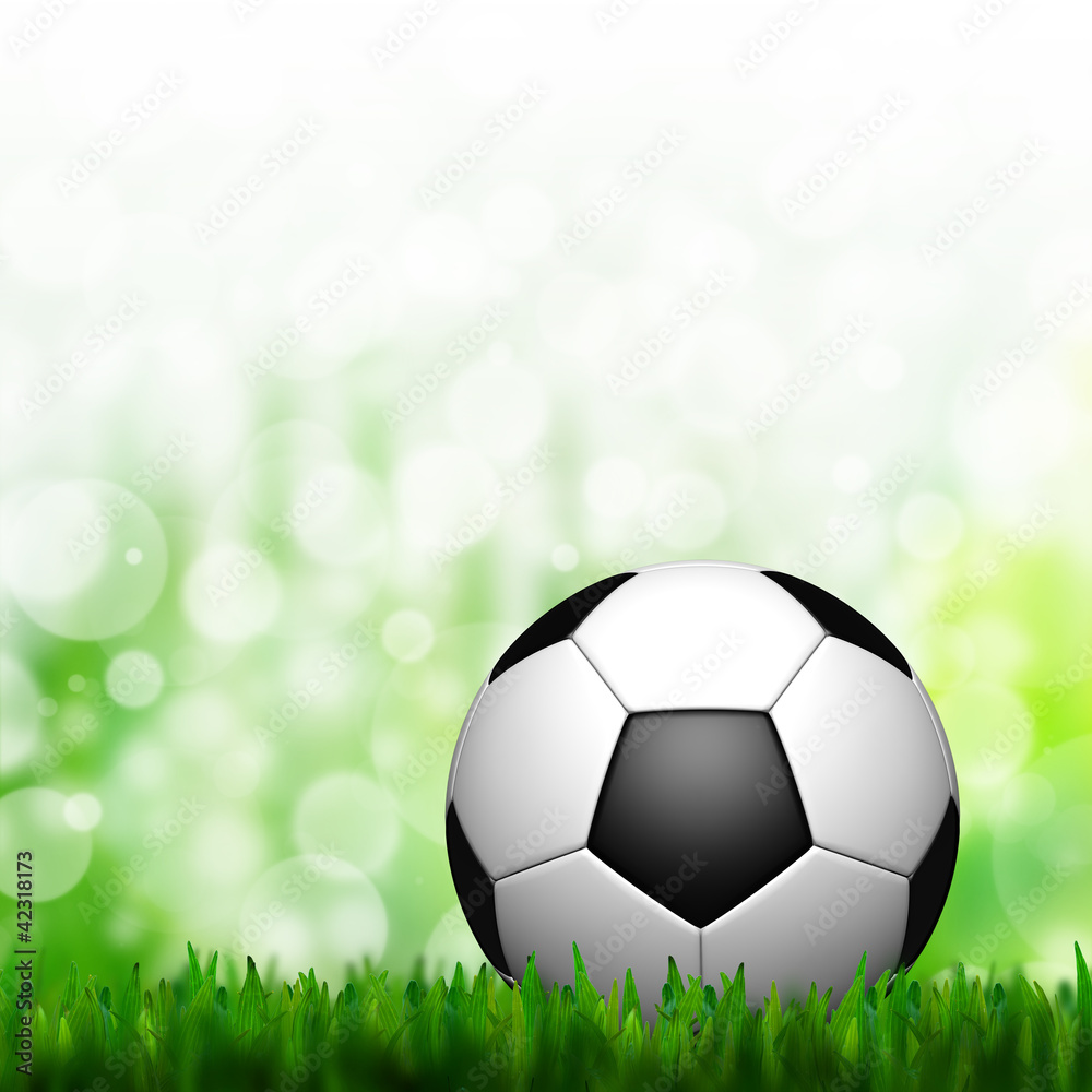 Fototapeta premium 3D Football in green grass and background