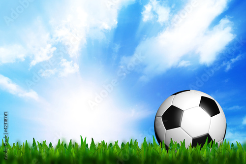 3D football in green grass on blue sky © jakgree