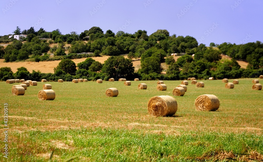 Bales of hay Apulia Puglia Italy Europe