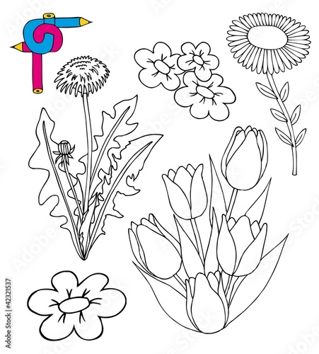 Fototapeta Naklejka Na Ścianę i Meble -  Coloring image flowers