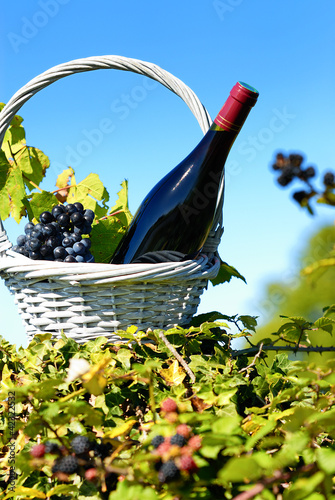 bottle of red wine photo
