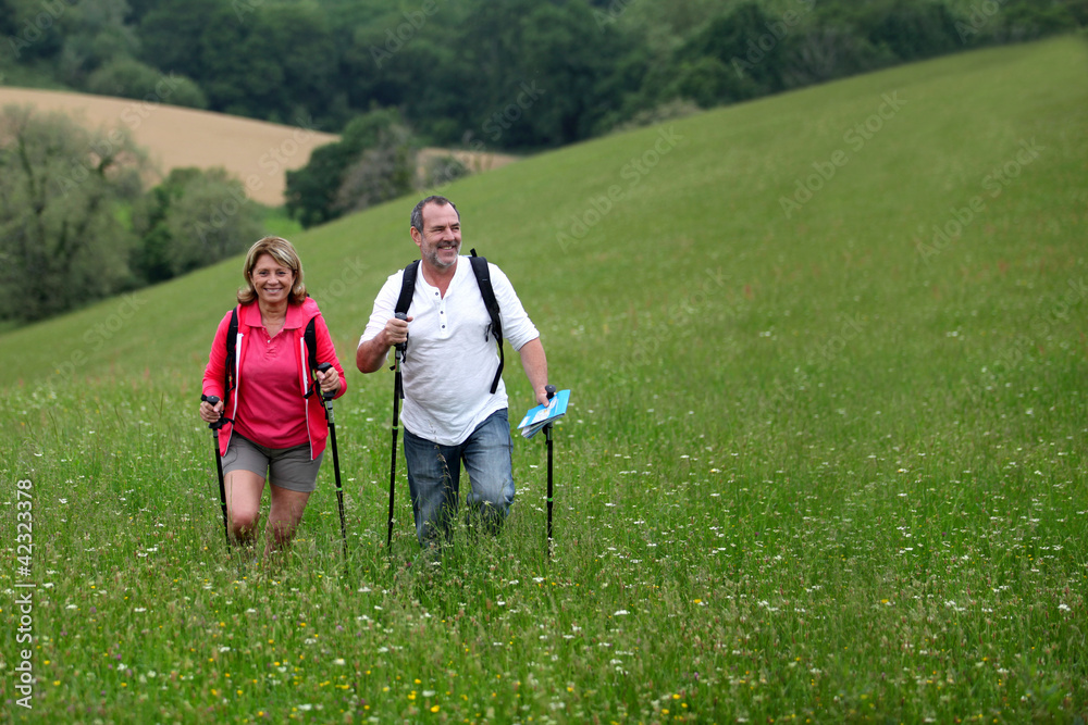 Senior couple hiking in countryside
