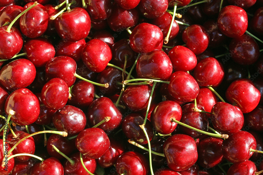 background of red ripe cherries for sale at market background of red ripe cherries for sale at market