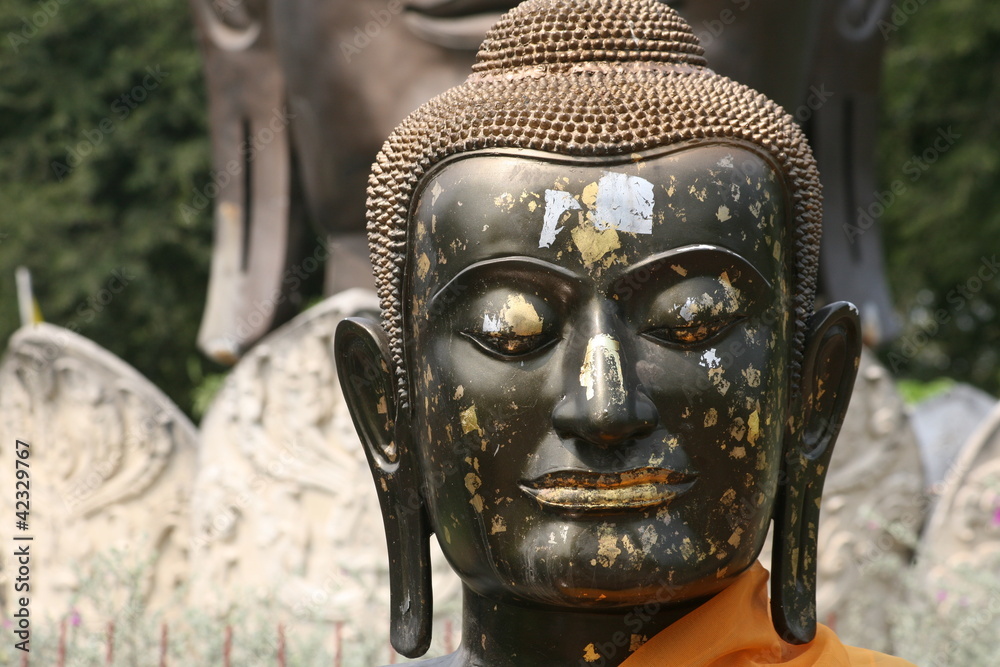 Buddhakopf schwarz in  Ayutthaya, Thailand