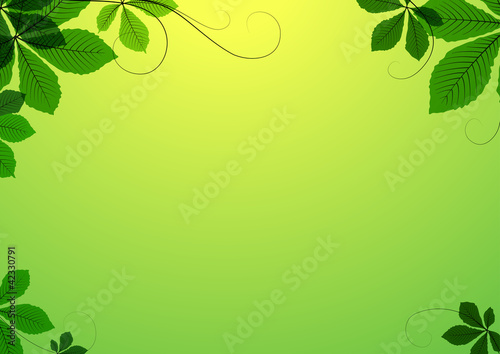 Summer background with green leaves