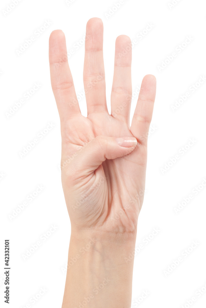 Hand Gesture - Number Four isolated on white Hand Gesture - Number Four isolated on white