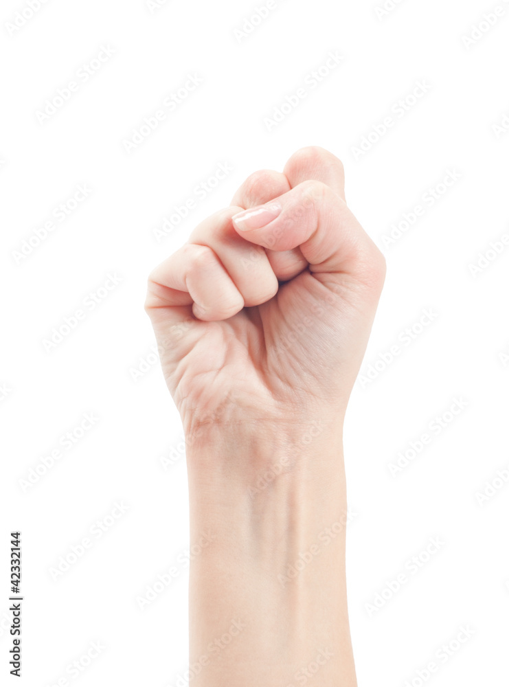 Fist. Gesture of the hand on white background. Fist. Gesture of the hand on white background.