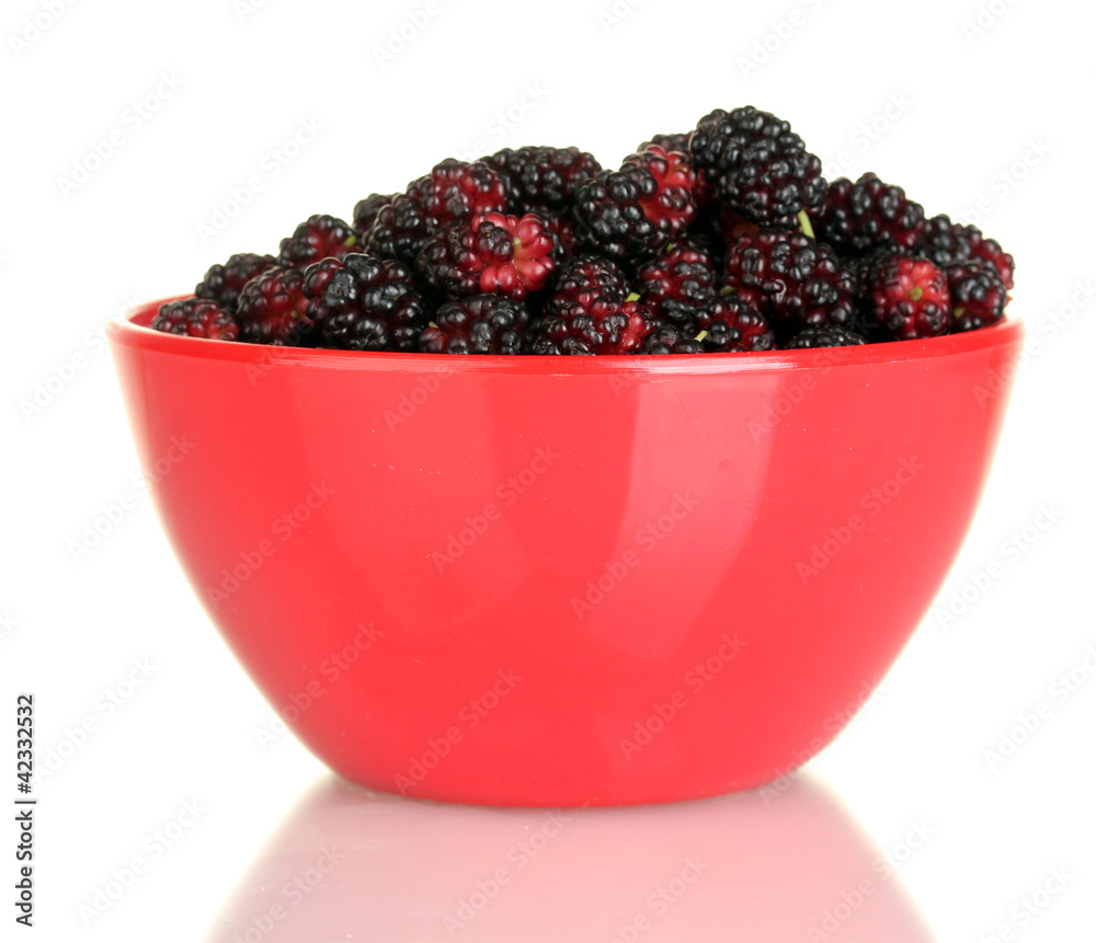 Red bowl with ripe mulberries isolated on white close-up Red bowl with ripe mulberries isolated on white close-up