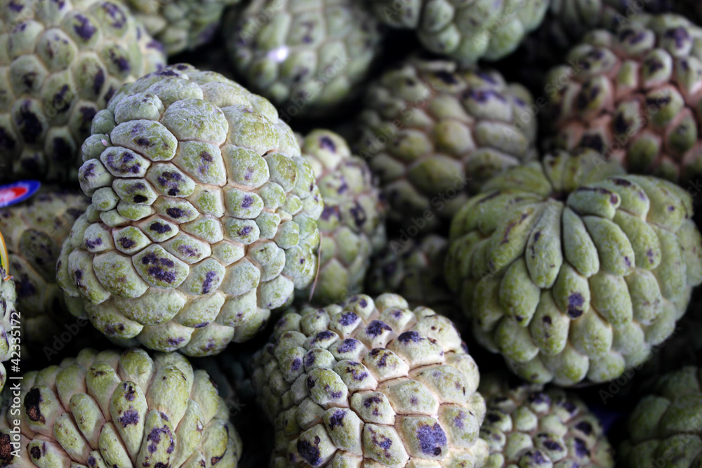Fototapeta premium Custard apple (Fruta-do-conde)