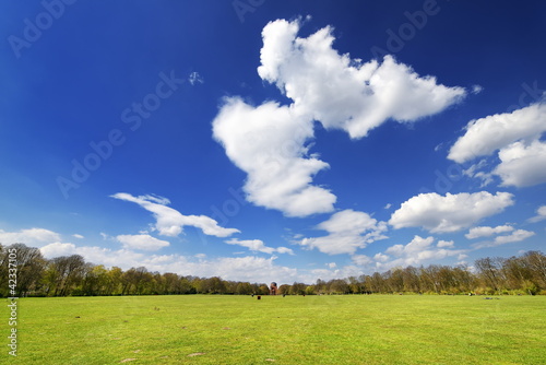 Hamburger Stadtpark