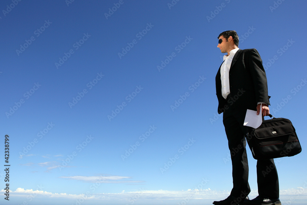 Businessman with sunglasses and briefcase