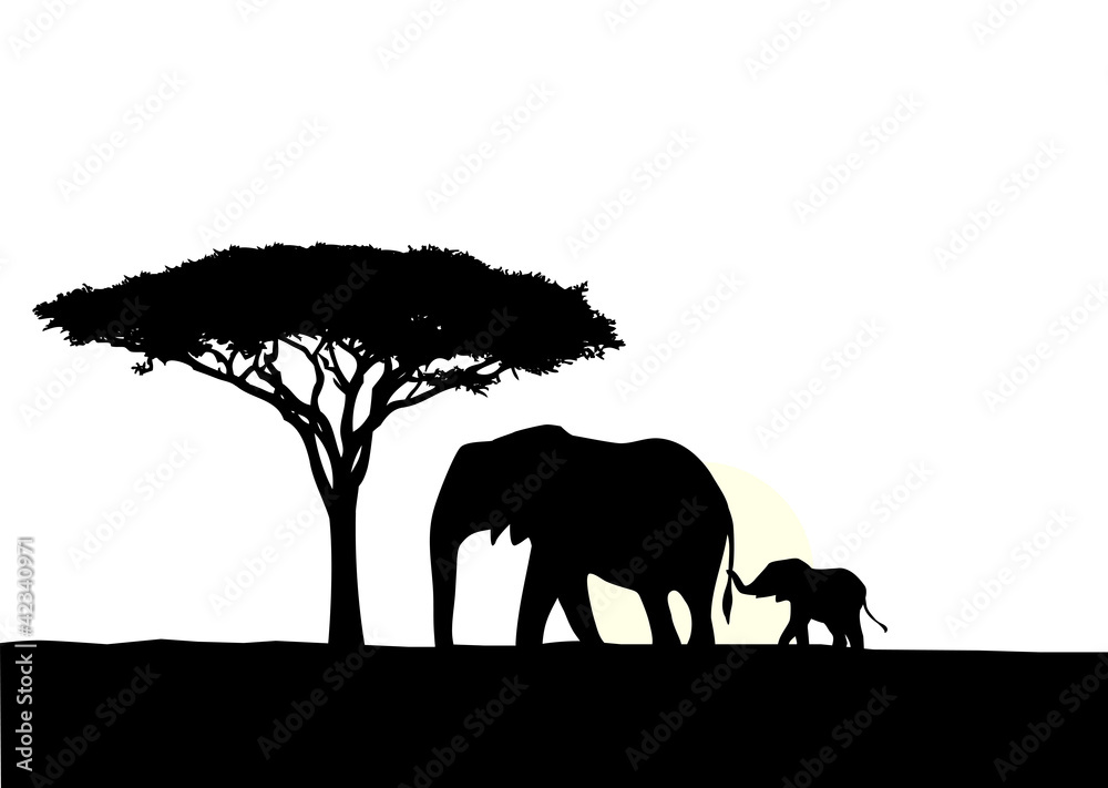 Fototapeta premium African elephant with baby silhouette
