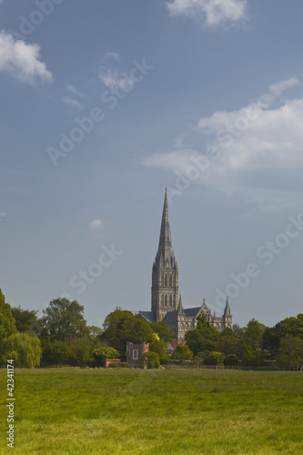 Salisbury cathedral and the west harnham water meadows.