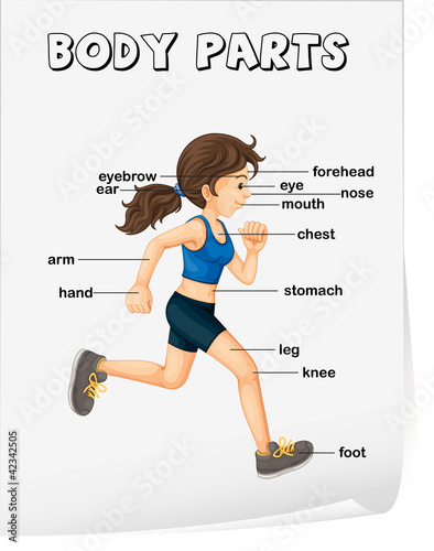 Body parts