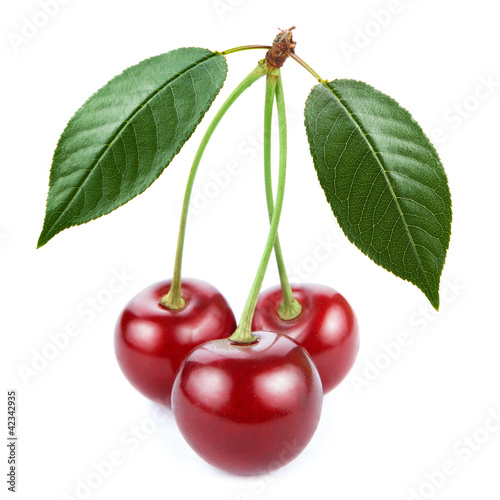 Ripe cherry isolated on white background