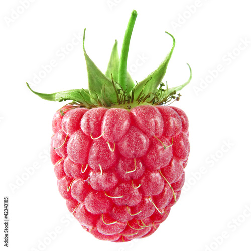 One raspberries isolated on white background
