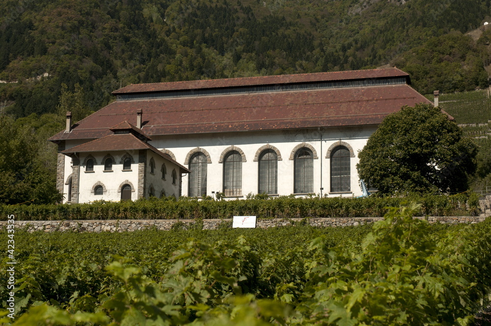 Belle Usine Fully Belle Usine Fully