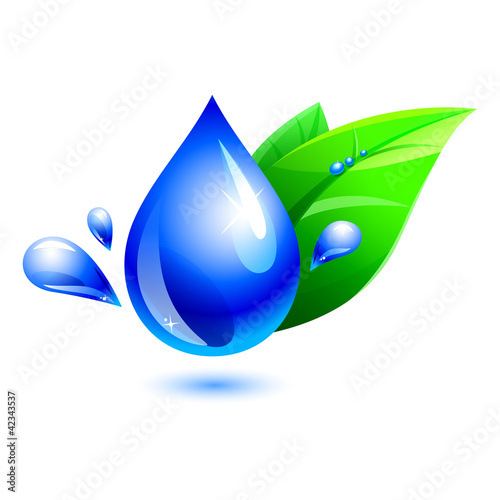 water drop and leaf