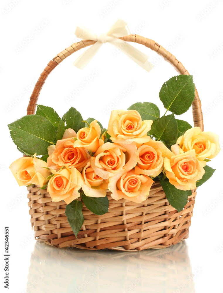 beautiful bouquet of roses in basket isolated on white beautiful bouquet of roses in basket isolated on white
