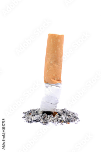 A cigarette butt on white