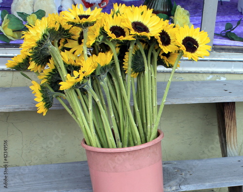 Bright yellow and brown longstemmed sunflowers photo