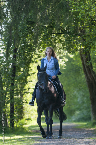 entspannter Ausritt im Wald