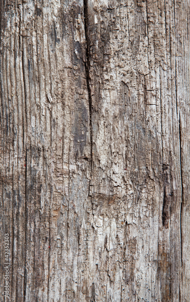 Verwittertes Holz Textur