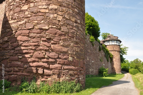 trendelburg photo